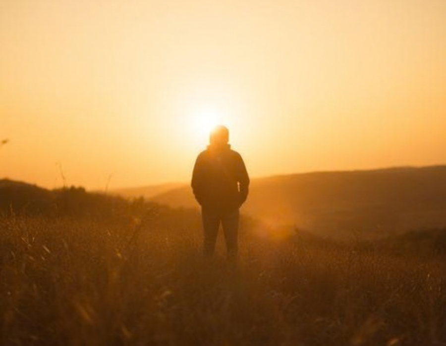 Professional Distribution for the Independent Journey